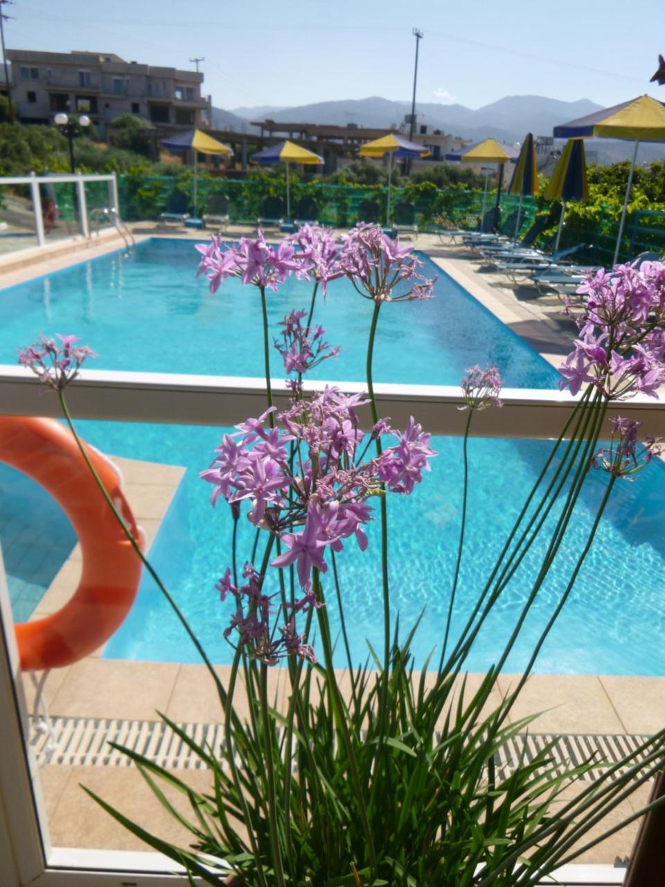 איסטרו Stavros Apartments מראה חיצוני תמונה